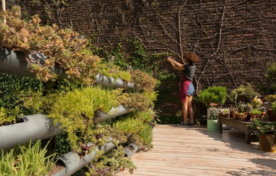 Jardín Pequeño en un Oasis Verde