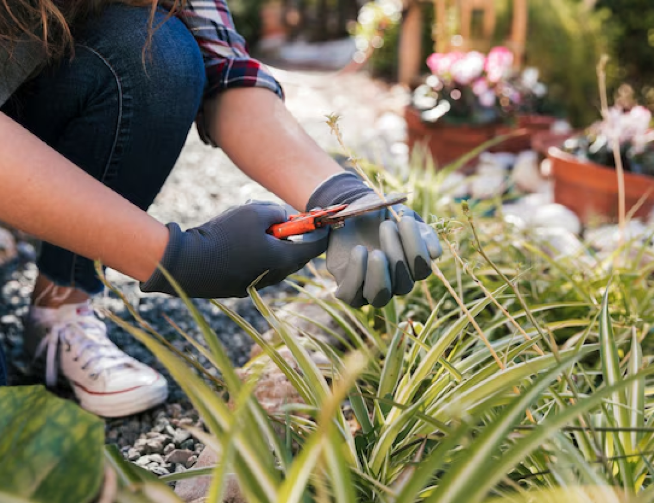 mantenimiento de jardines